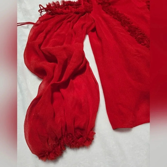 NWT ALEXIS Belicia Sheer Organza Cold Shoulder Top with Ruffled-Trim, 100% Silk - Picture 10 of 15